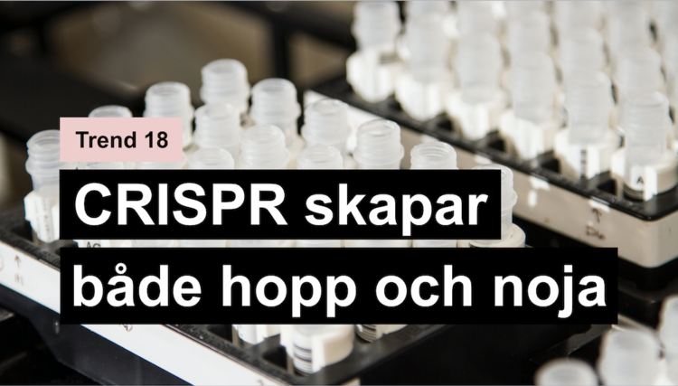 CRISPR skapar både hopp och noja