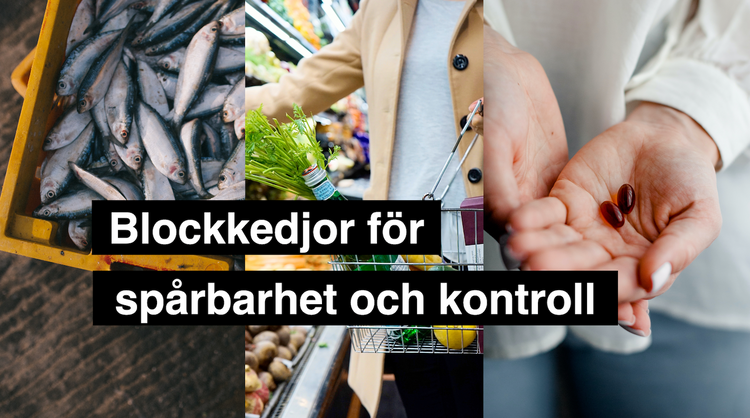 Blockkedjor för spårbarhet och kontroll