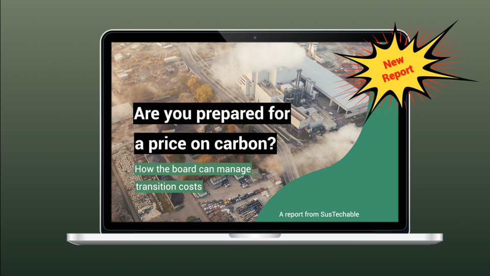 New Report: Are you prepared for a price on carbon? How the board can manage transition costs